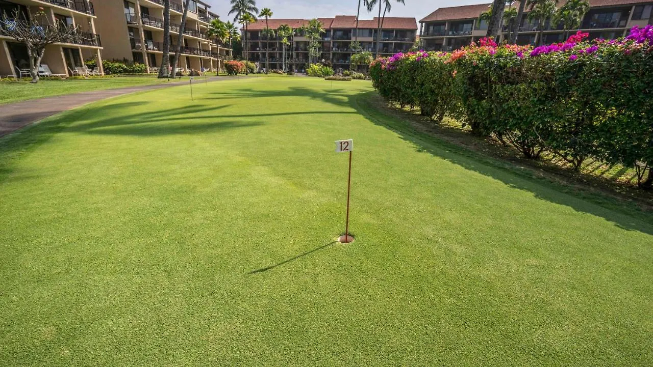 Papakea A-309 Villa Kahana 0*,  United States